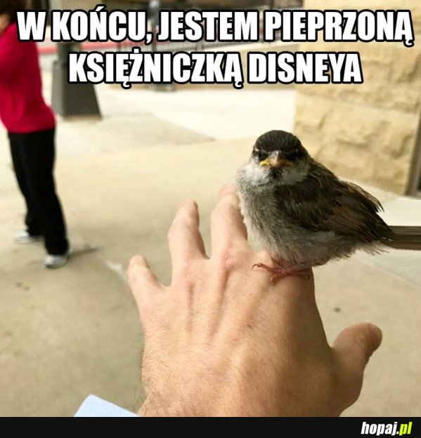 JESTEM KSIĘŻNICZKĄ DISNEYA