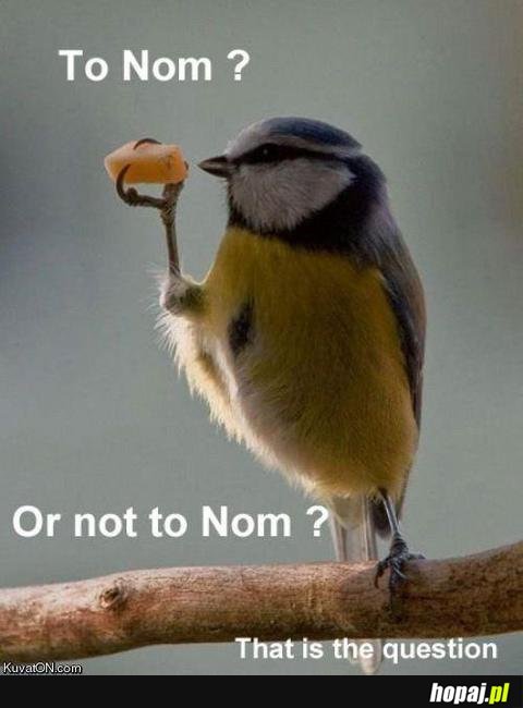 To Nom Or Not To Nom?