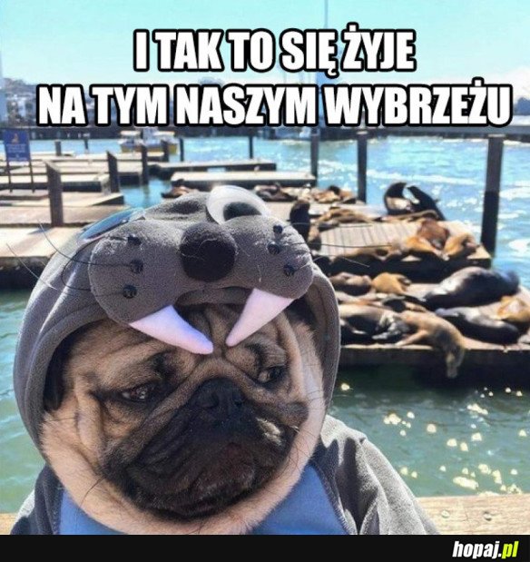 I TAK TO SIĘ ŻYJE