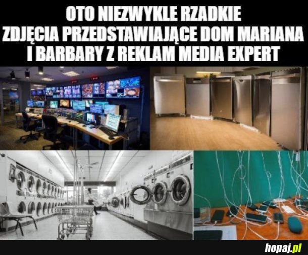 Media Expert