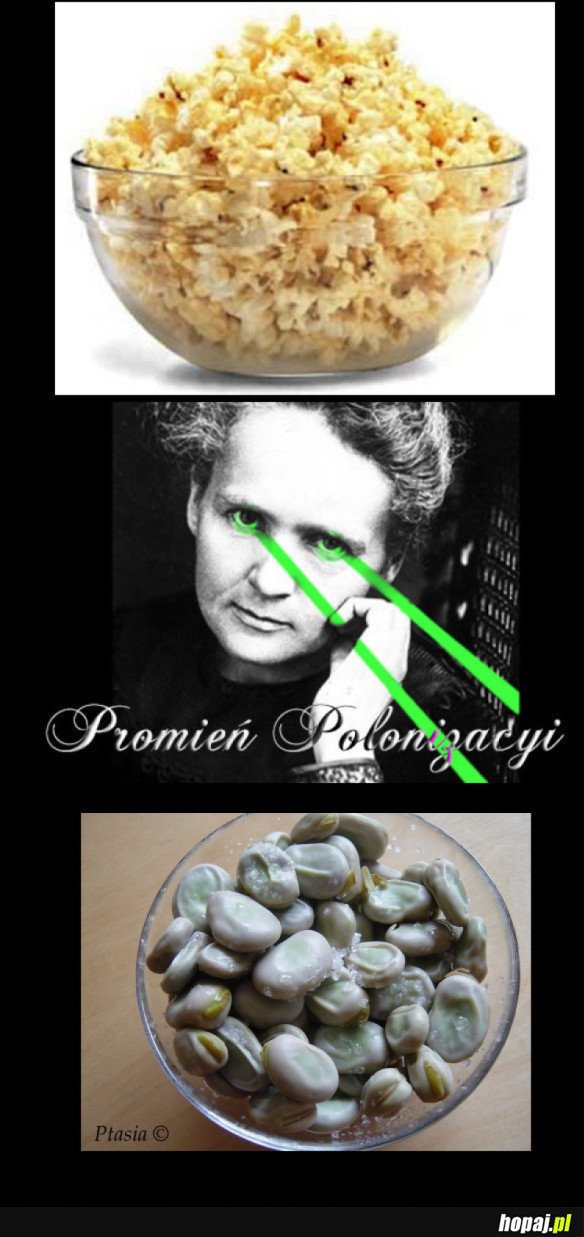 POLSKI POPCORN