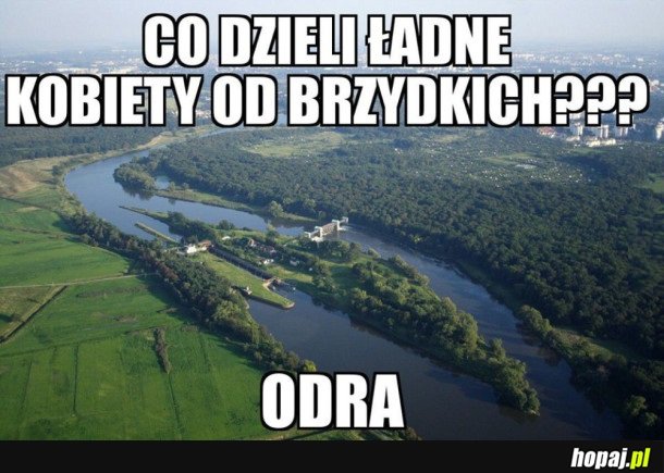 CO ODDZIELA BRZYDKIE KOBIETY OD ŁADNYCH