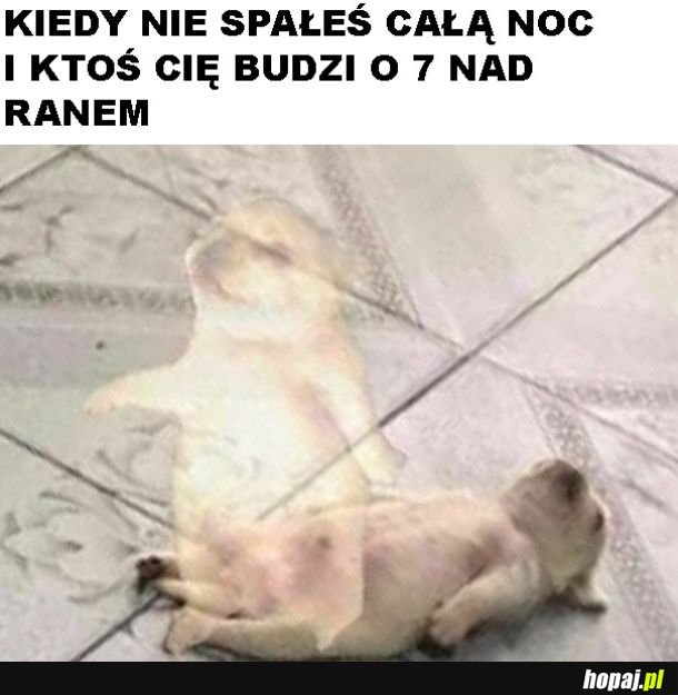Poranek