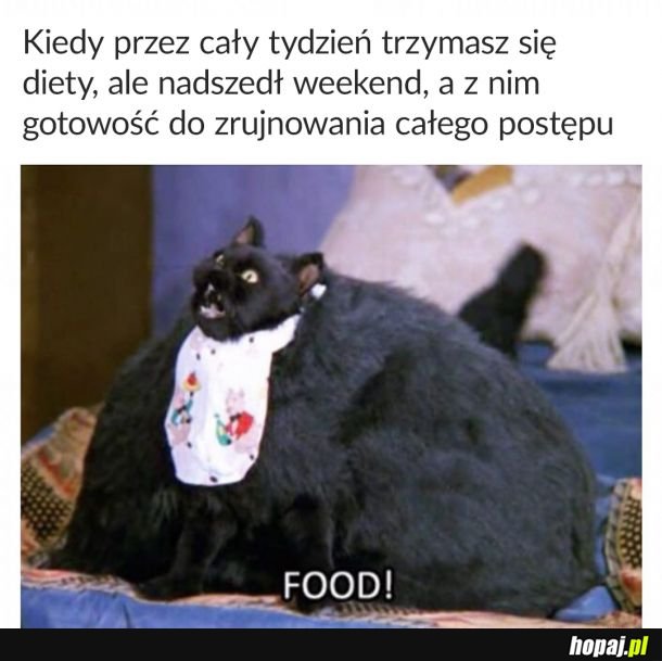 Ż R Y Ć 