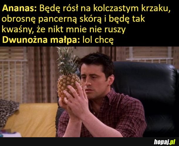 Ewolucja