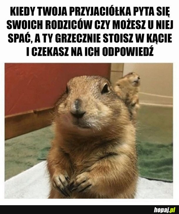 ZA KAŻDYM RAZEM