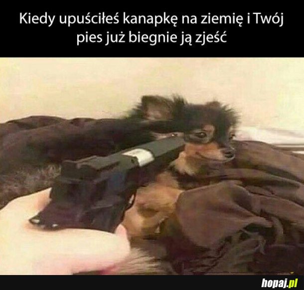 TO UCZUCIE