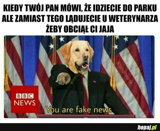 TAK SIĘ NIE ROBI!