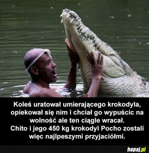 NIESAMOWITA PRZYJAŹŃ