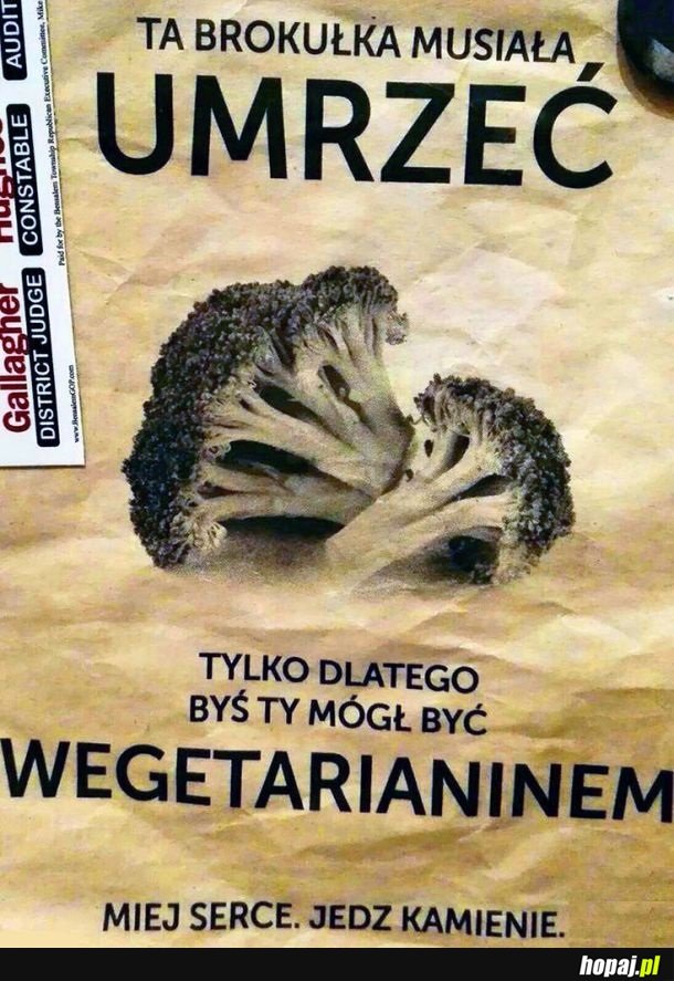 Kamienie