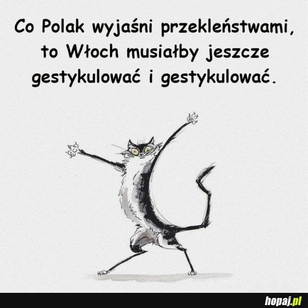 Krótko i na temat