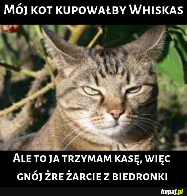Whiskas