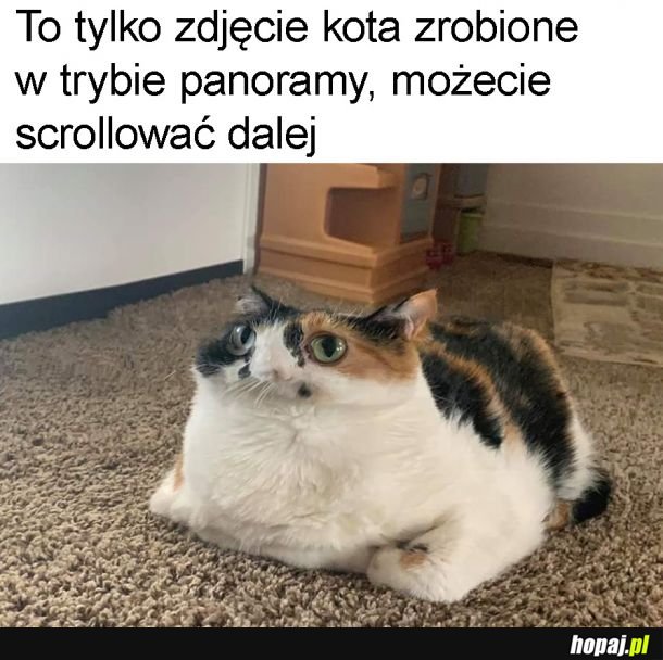 Nic takiego