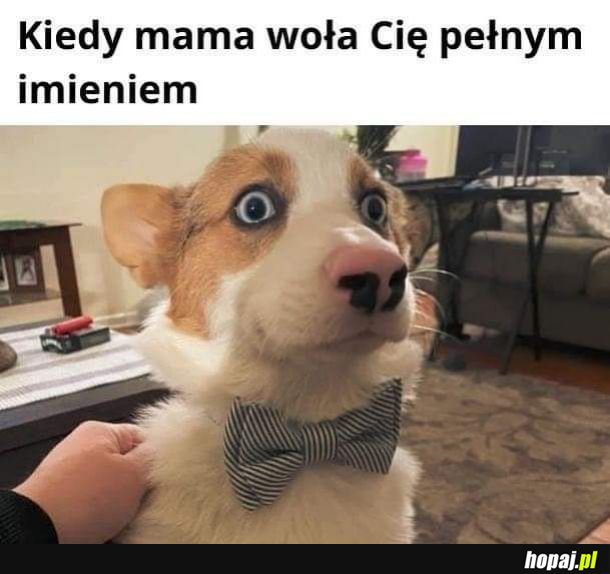 O żesz kur...