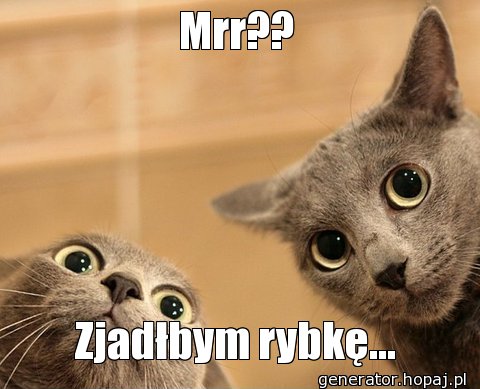 Mrr??