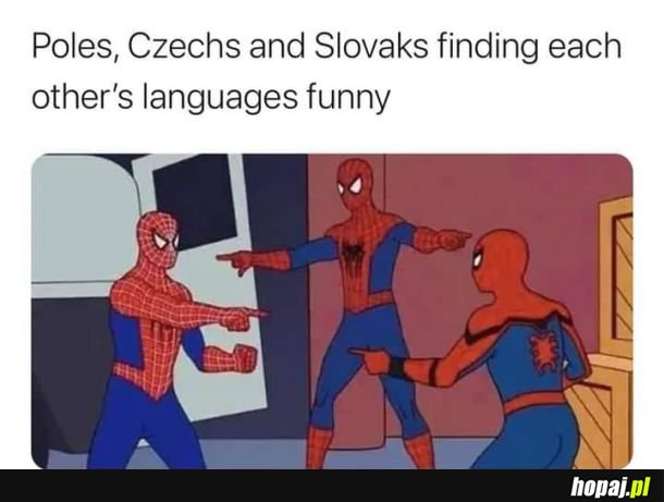 Język