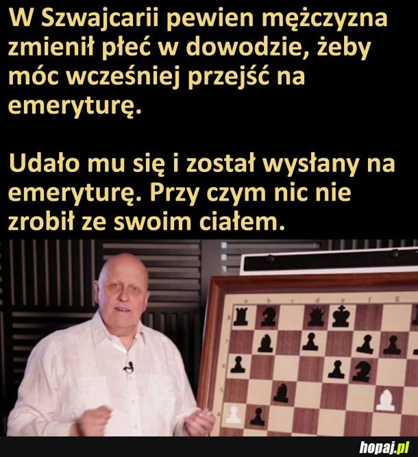 Niezły ruch