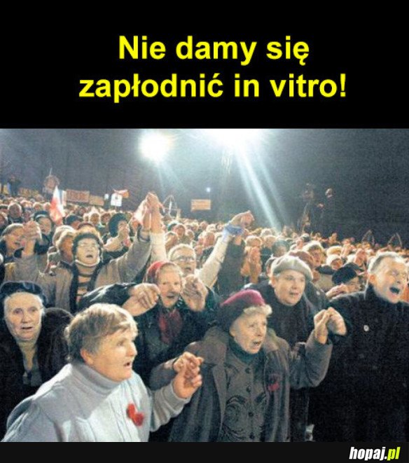 NIE DAMY SIĘ!