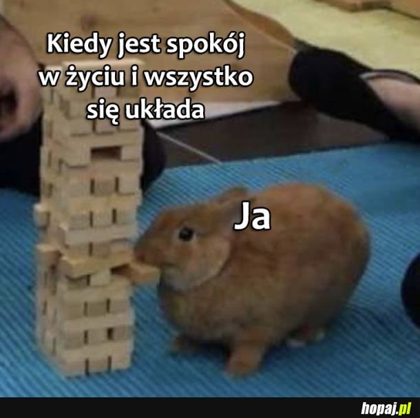 Nie może być za spokojnie