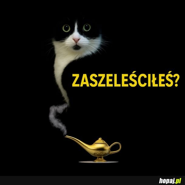 Dżin