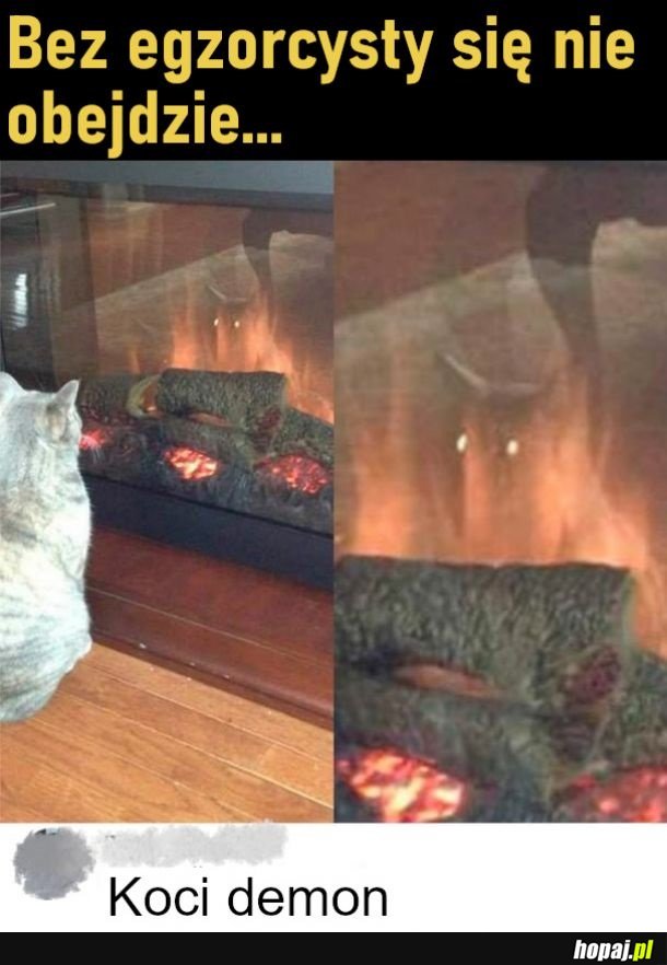 Kot z piekła rodem