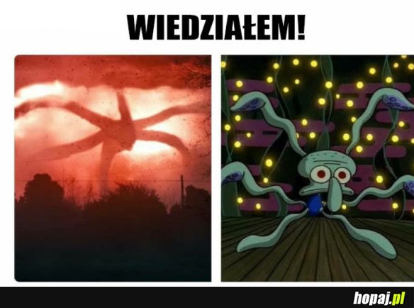 ZAGADKA ROZWIĄZANA