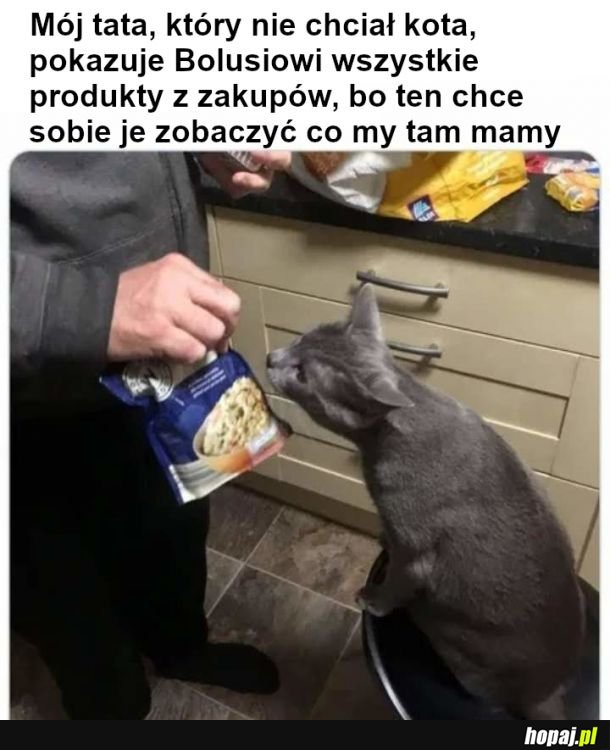 Tata i kot po miesiącu