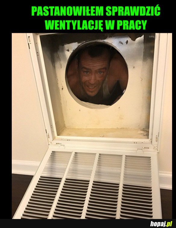 HEHESZKI W PRACY