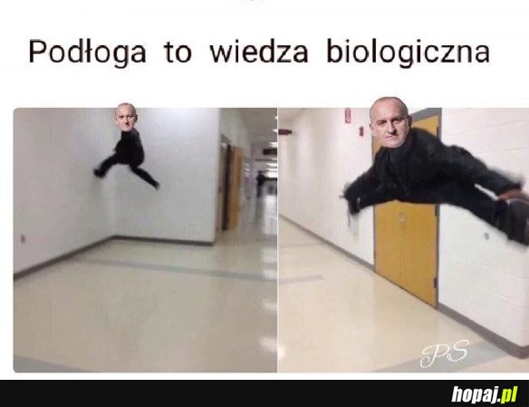 HEHESZKI