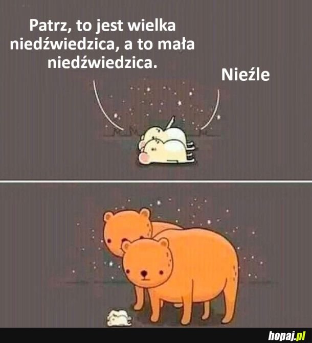 Niedźwiedzice