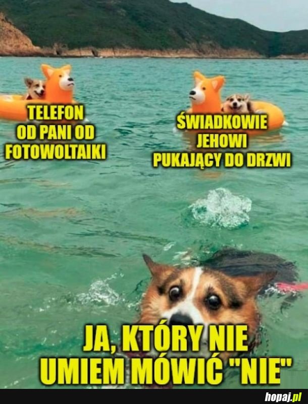 I tak się na wszystko zgodzę