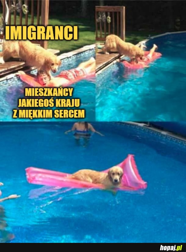 Imigranci. 