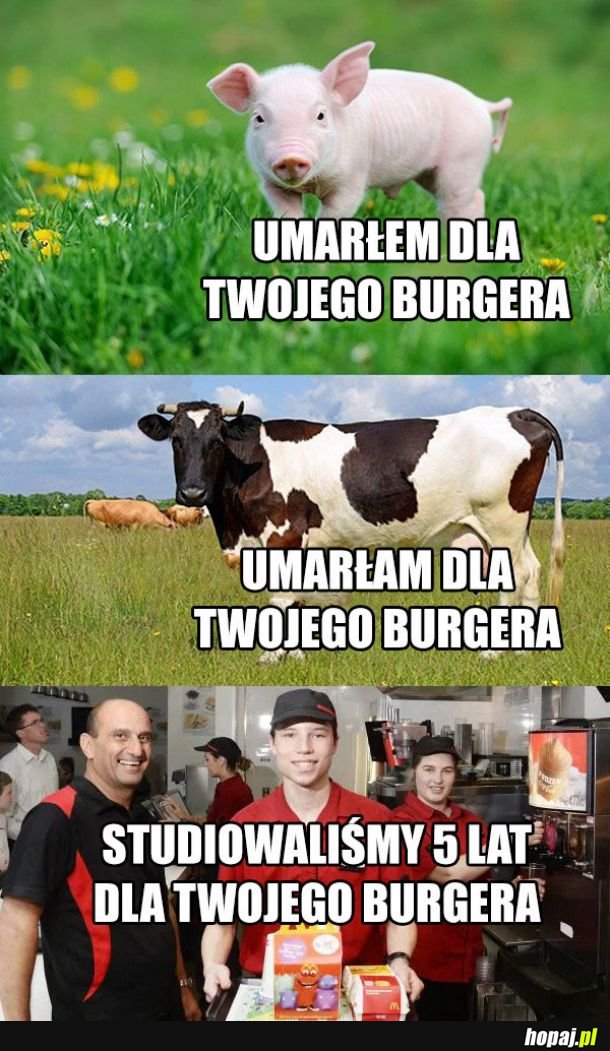Poświęcenie dla burgera