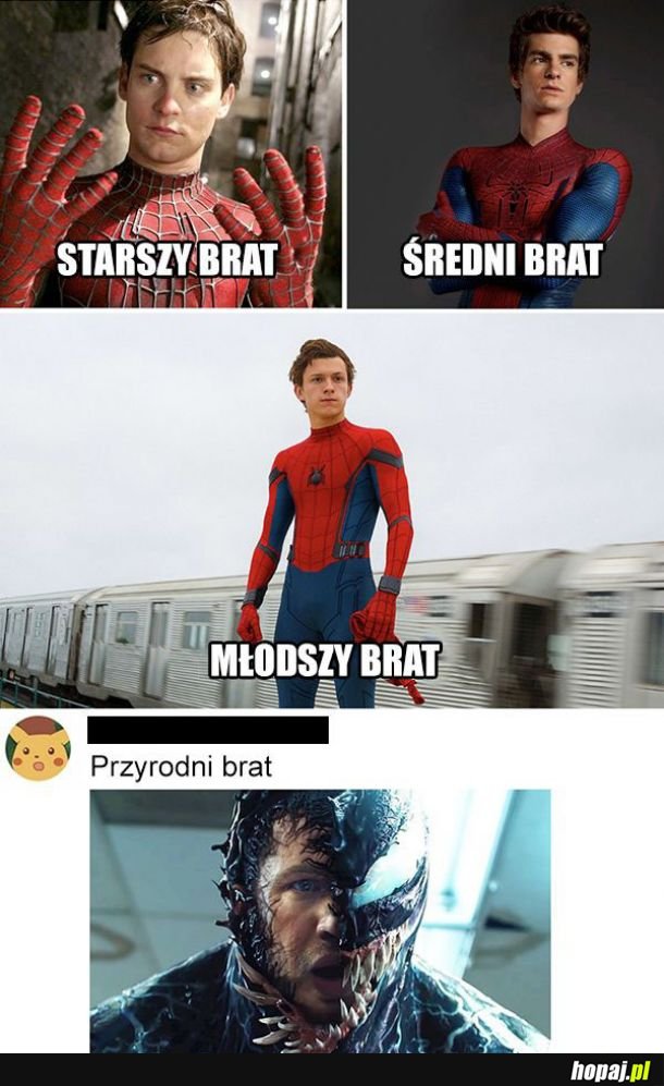 Rodzina Spidermanów 