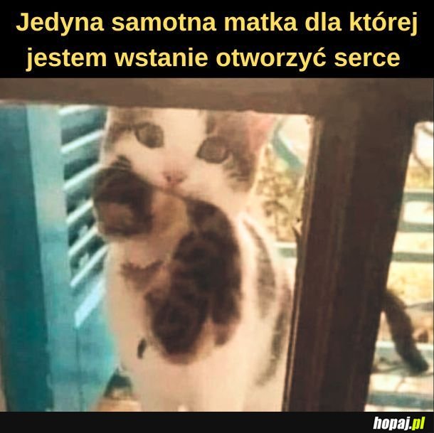 Samotna matka.