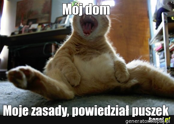 Mój dom