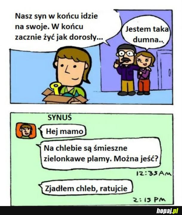 Dorosłość 