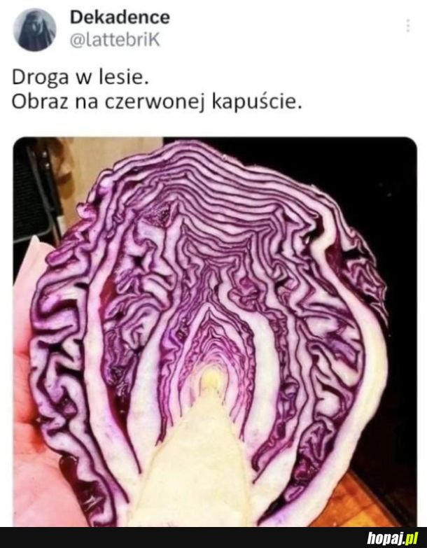 Niesamowite