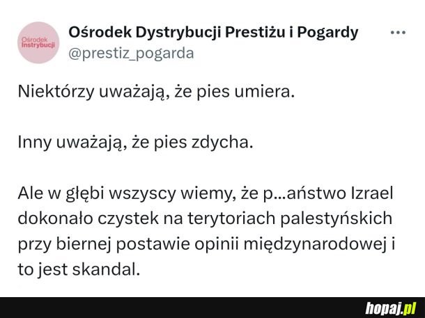 Ważny głos w kwestii psa