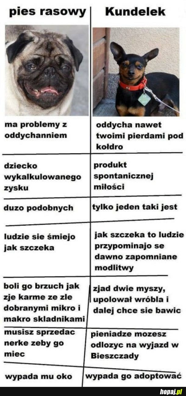 Różnica pomiędzy pieskami