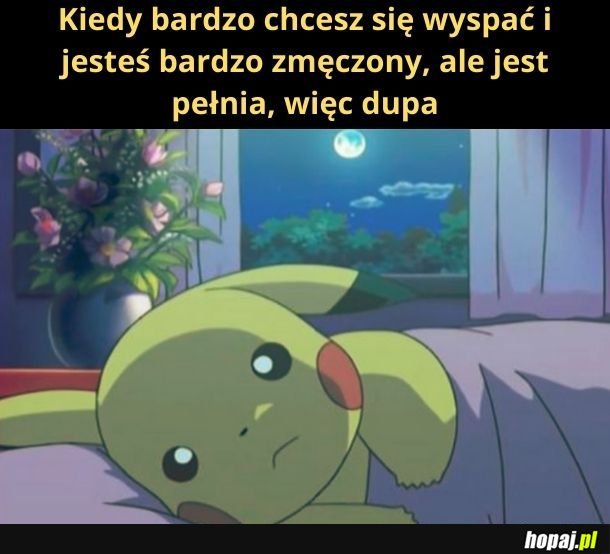 Kto jeszcze nie może spać podczas pełni?