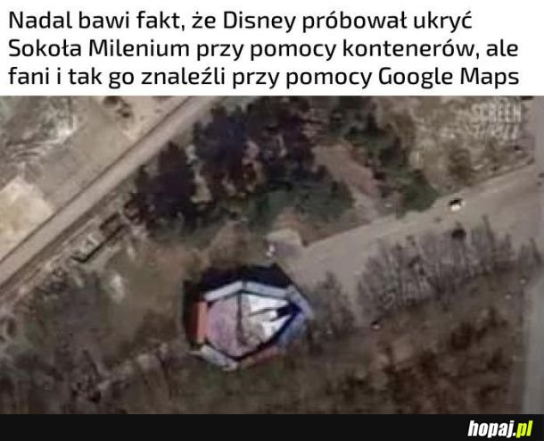 Sokół Millenium