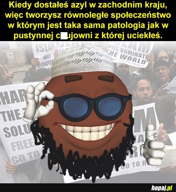 Cykl rozwoju