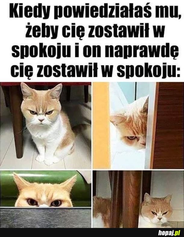 Nie pasuje