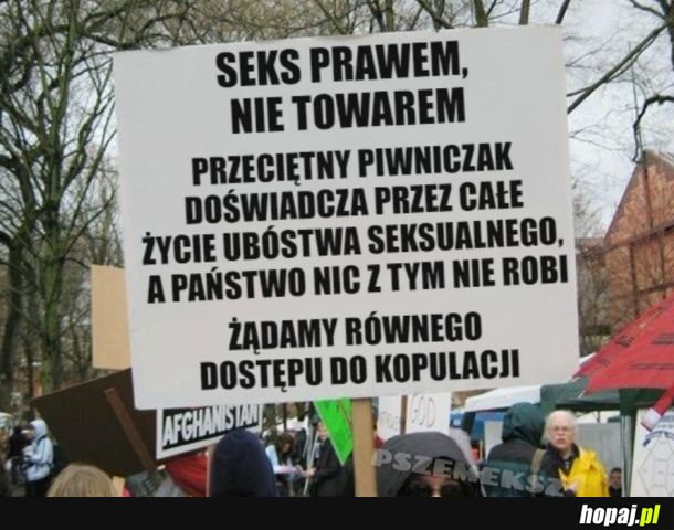 Seks jest podstawową potrzebą człowieka, nie można go zostawiać wolnemu rynkowi towarzysko-erotycznemu