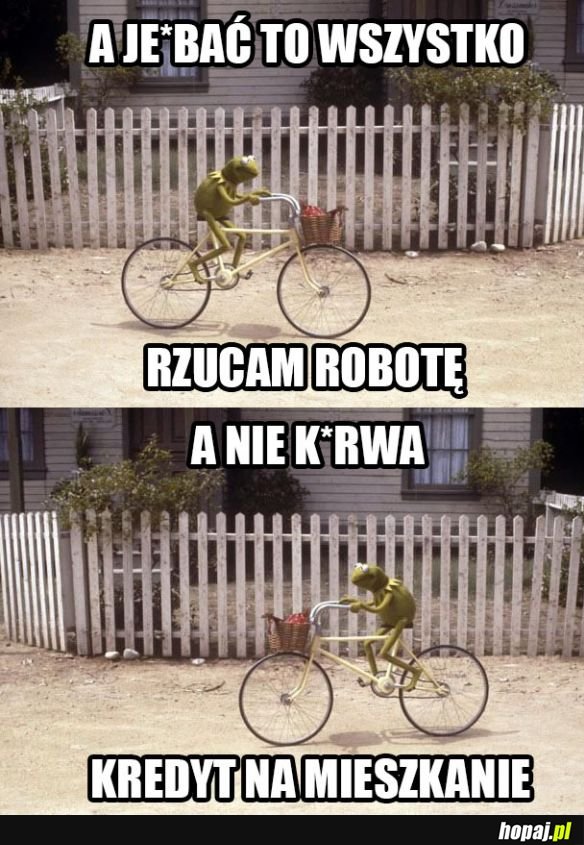 Moje życie w pigułce