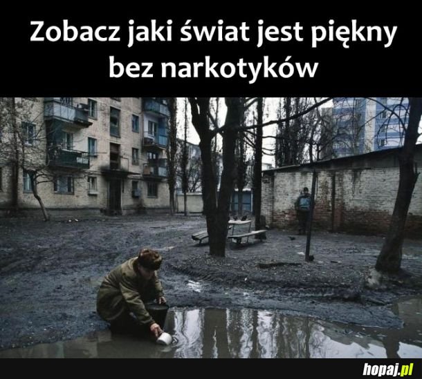 Piękny świat