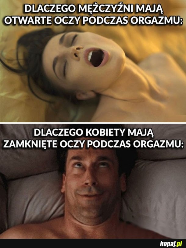 KOBIETA VS MĘŻCZYZNA