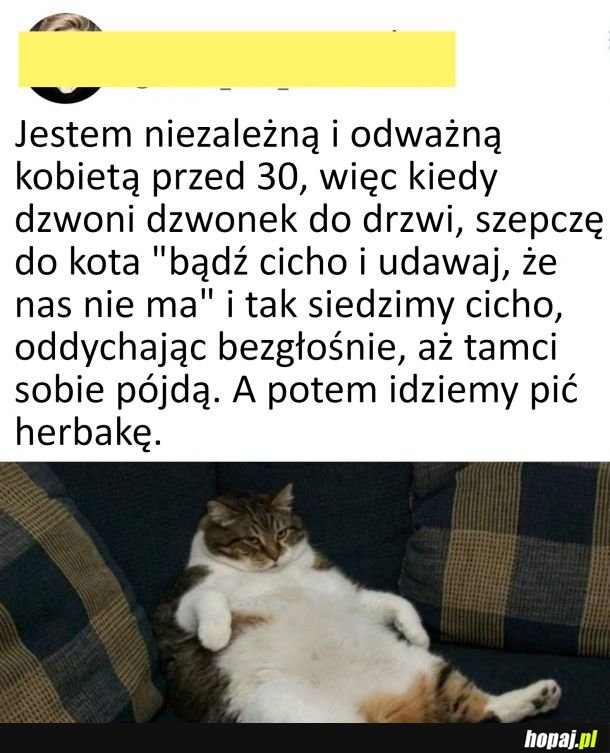 Silna, niezależna i odważna kobieta z kotem