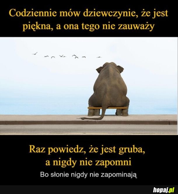 Komplementy